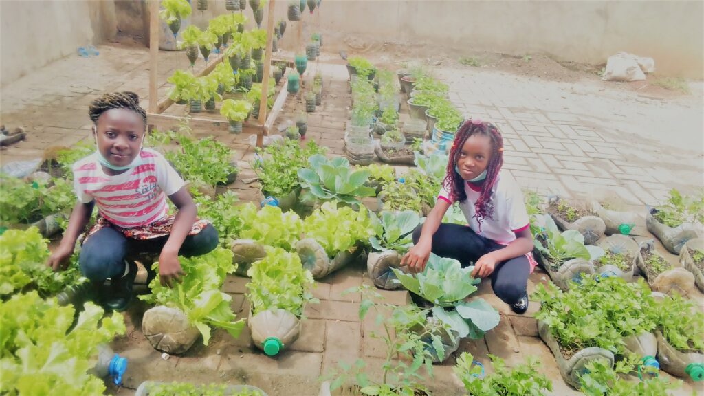 Enfants et agriculture urbaine