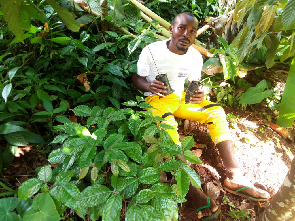 Agriculteur et sa pépinière