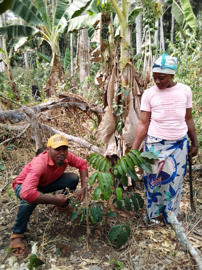 Agricultrice et sa pépinière