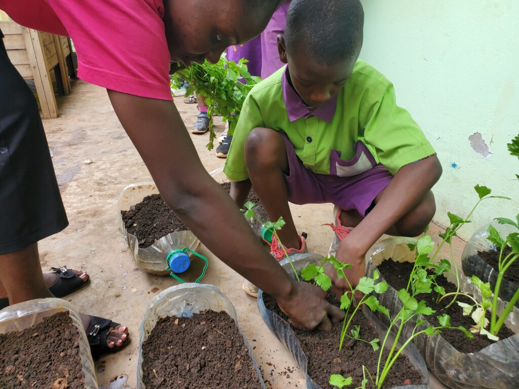 Initiation à la pratique de l'agriculture urbaine en milieu scolaire