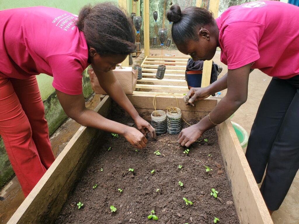 Initiation à la pratique de l'agriculture urbaine en milieu scolaire