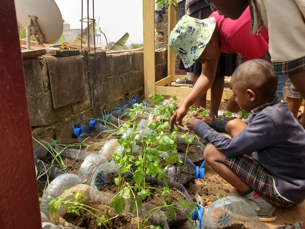 Initiation à la pratique de l'agriculture urbaine en milieu scolaire