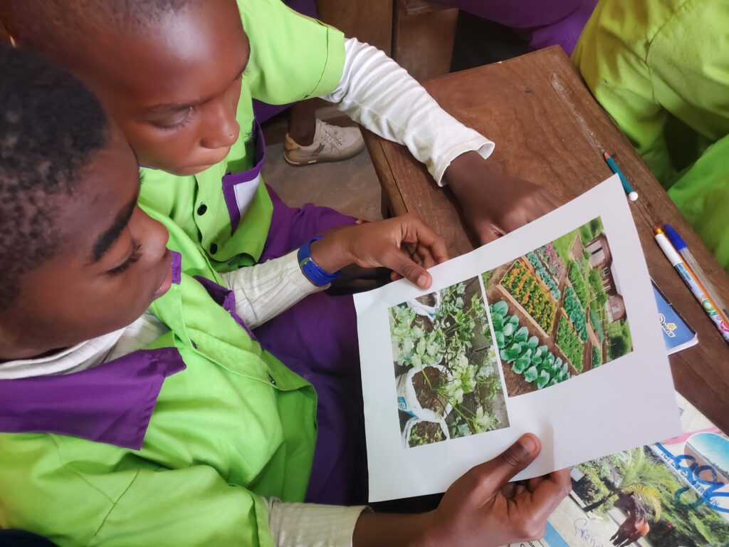 Sensibilisation des élèves sur l'agriculture urbaine